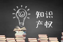 《电子商务平台知识产权保护管理》国家标准解读