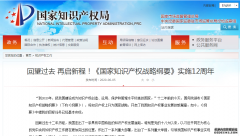 回望过去 再启新程！《国家知识产权战略纲要》