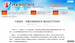 完善法律制度体系 强化知识产权保护